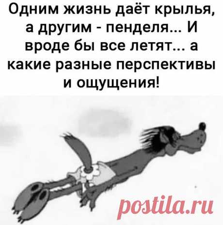 (11) Facebook