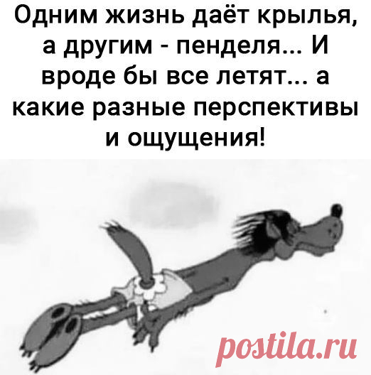 (11) Facebook