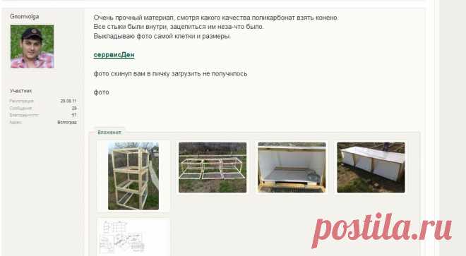 Может ли разведение кроликов приносить стабильный доход? | Страница 2 | Форум: дом и дача