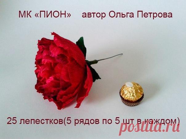 Поиск новостей по запросу пион мк