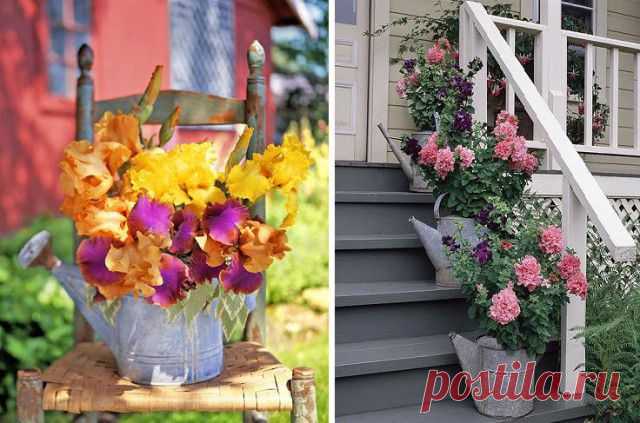 Оригинальные идеи для сада и дачи..