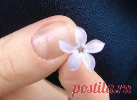 Добрые приметы / Мистика
