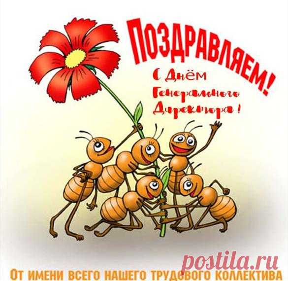 Гендиректор наш, сегодня
Мы хотим поздравить вас.
Вы ведете нас к победе,
В деле нашем вы ведь ас.