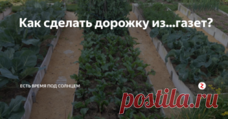 Как сделать дорожку из...газет? Я кое-что придумала, чтобы не полоть дорожку между грядок. Это проще простого...