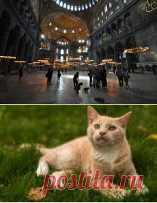 О любви...Короли улиц Стамбула и Гли из собора Святой Софии