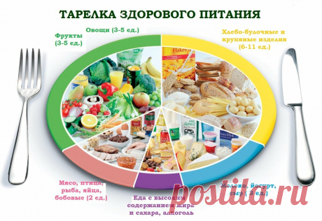 Здоровое питание: принципы, правила и продукты | Сеть клиник "Ника Спринг" | Дзен