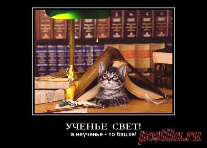 Наглядные изображения основных законов математики! (ну очень забавно) » Женский Мир