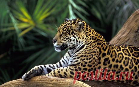 Фотографии на стене сообщества | 19 484 фотографии