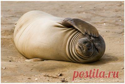 5 Популярных способов борьбы с похмельем.