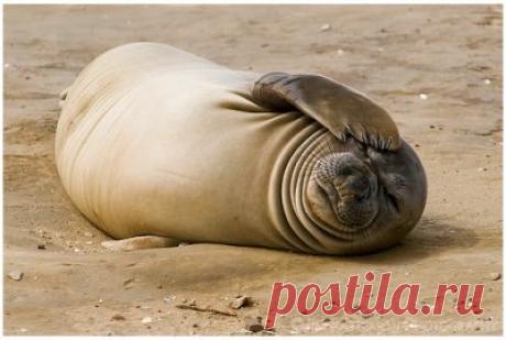 5 Популярных способов борьбы с похмельем.