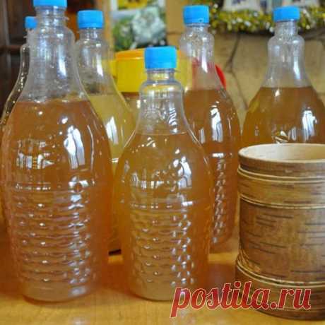 Домашняя медовуха 3 рецепта — Сад Заготовка