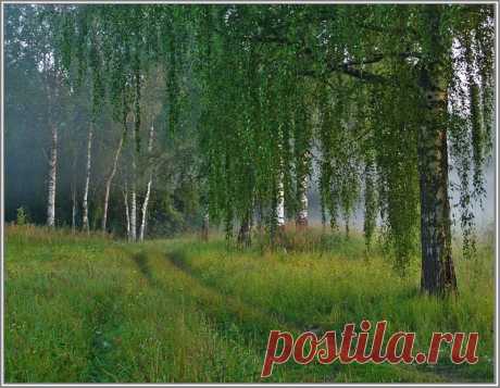 хх