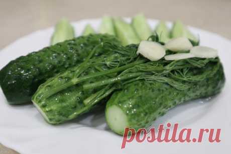 Хрустящие малосольные огурцы на минералке — Кулинарная книга - рецепты с фото