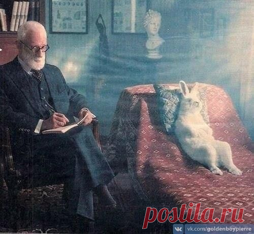 Прежде, чем диагностировать у себя депрессию и заниженную самооценку, убедитесь, что вы не окружены идиотами / Модное Настроение