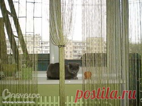 Шторы кисея своими руками. | ШТОРЫ, ЛАМБРЕКЕНЫ, ДОМАШНИЙ ТЕКСТИЛЬ СВОИМИ РУКАМИ