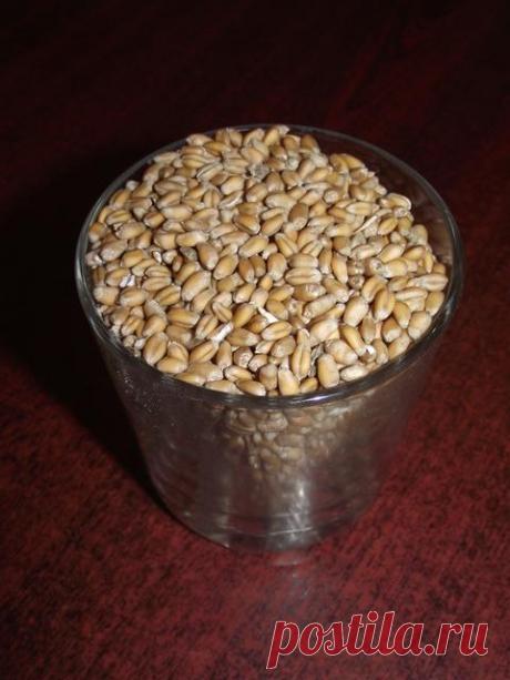 Пшеница на рыбалке - Самоделки для рыбалки своими руками