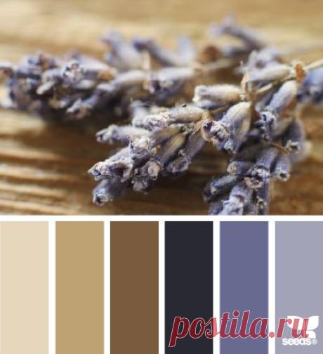 Design Seeds® | for all who ❤ color | dried tones