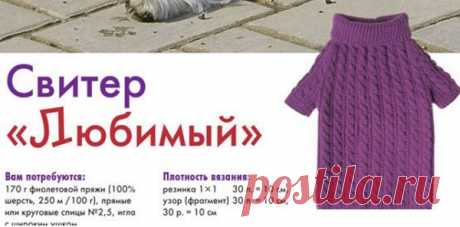 Свитер для собаки спицами