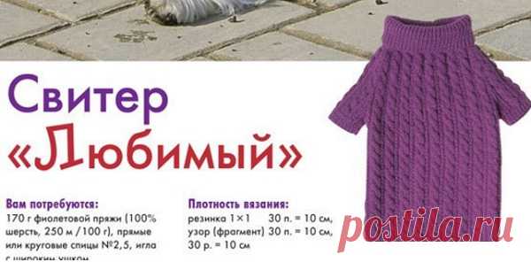 Свитер для собаки спицами