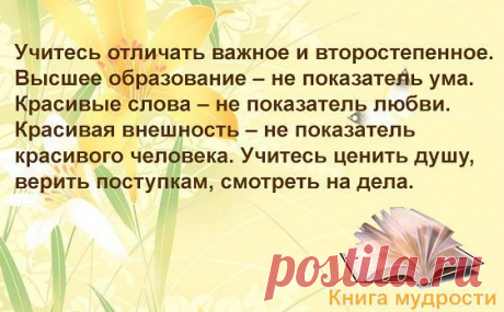 •КНИГА МУДРОСТИ - ЦИТАТЫ И АФОРИЗМЫ™•