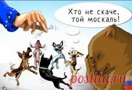 Кто не скачет, тот москаль