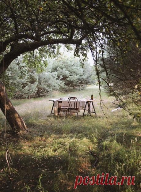Тишина здесь звучала на разные голоса: это под ногами пружинил мох, от деревьев — от каждого по—особому — падали тени, а родники, разбегаясь в разные стороны, спешили захватить новые владения.
Рэй Брэдбери