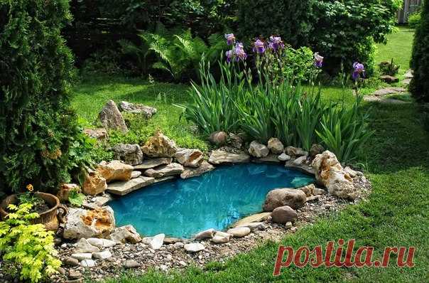 Пруд из ванны на дачном участке.