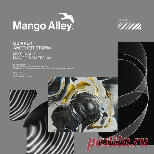 Quivver – Another Storm [ALLEY335]