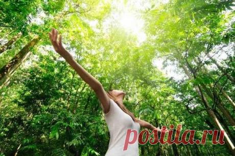 ОСОЗНАННАЯ ЖИЗНЬ. Только живя на природе начинаешь понимать, что такое ЖИТЬ СВОБОДНО!
Когда начинаешь жить в гармонии с природой, то удивительным образом начинаешь меняться, — сразу же начинают отпадать все надуманные и навязанные городом привычки, уходят чужие мысли. Именно тогда, когда попадаешь в естественную для человека среду, понимаешь, что большинство из того, что человек делает в городах...
Читай дальше на сайте. Жми подробнее ➡