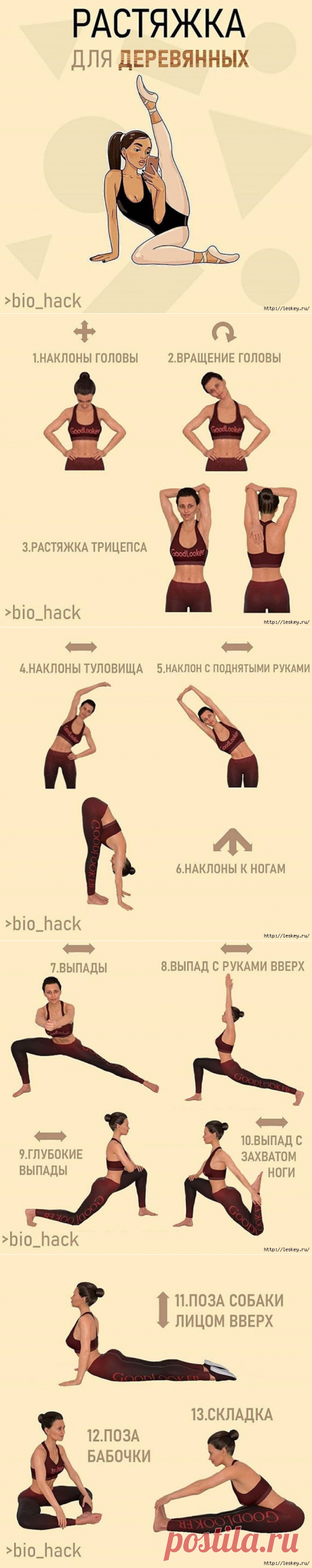 Hecлoжнaя pacтяжкa вceгo тeлa для «дepeвянныx»