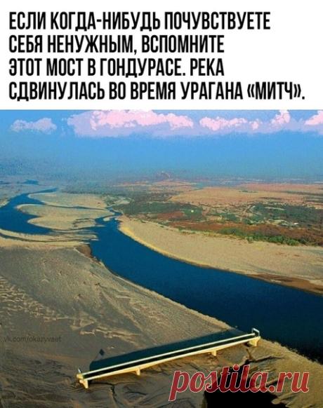 Вот это поворот....