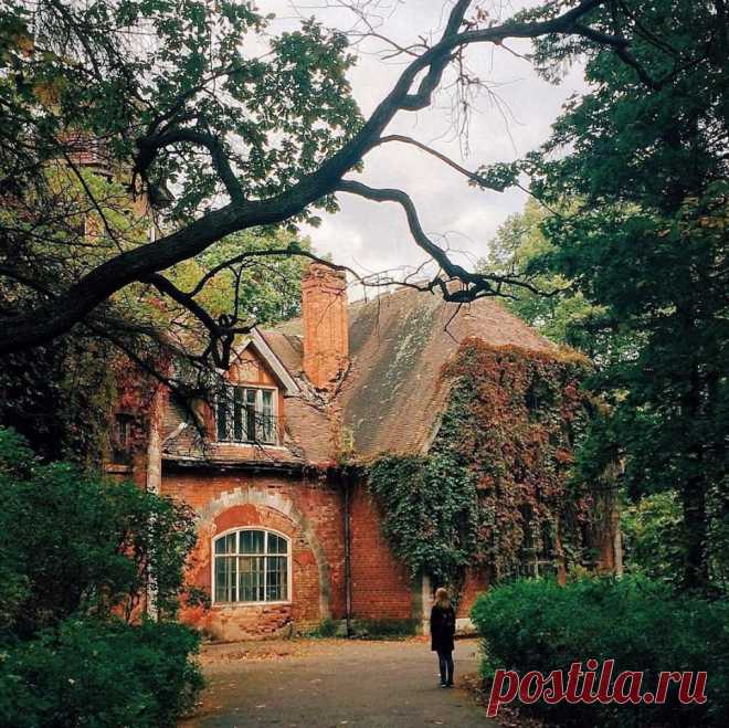 Афиша Санкт-Петербурга