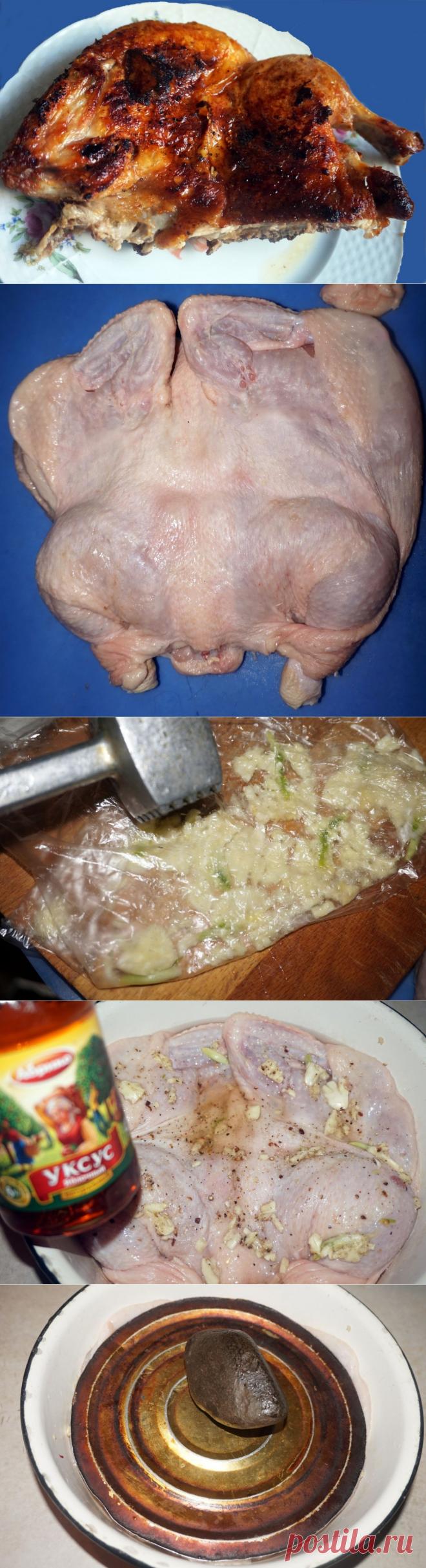 Цыпленок-табака