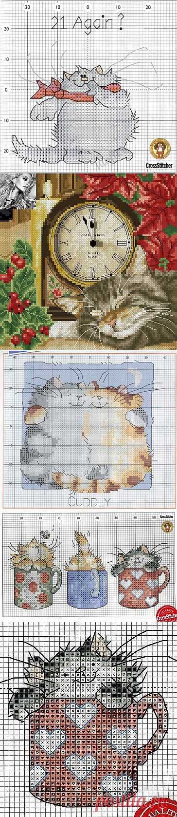 kiyashko_1964@mail.ru - Почта Mail.Ru