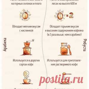 Немного о сортах кофе - МирТесен