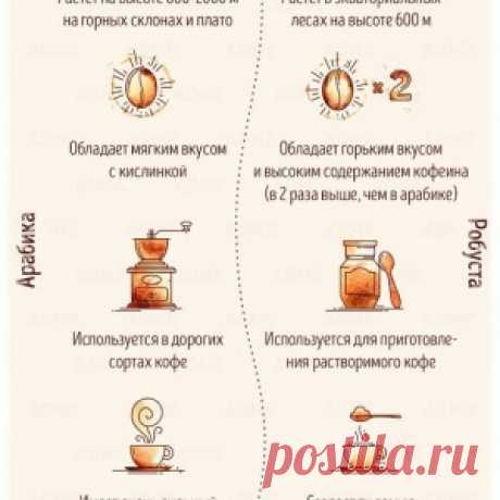 Немного о сортах кофе - МирТесен