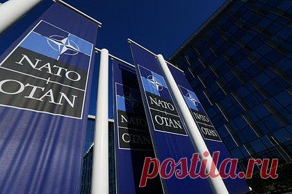 Трамп признал свое положение «папочки» НАТО