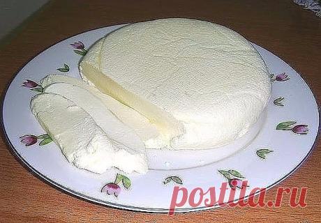 Домашняя брынза