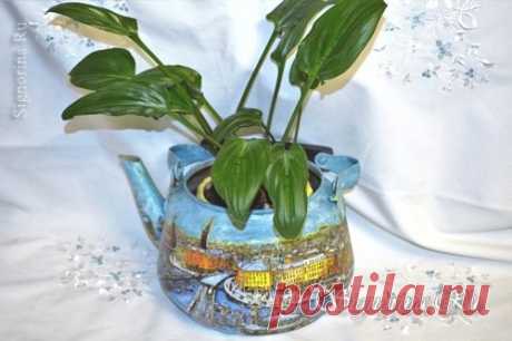 Кашпо для цветов из старого чайника в стиле декупаж. 
 
Новая жизнь старым вещам – это увлекательное направление для творчества, которое поможет сохранить нашу планету. В этом мастер-классе вы узнаете, как сделать кашпо для цветов в стиле декупаж из старого чайника.