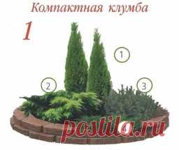 Клумбы с хвойными растениями! - Садоводка