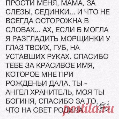 Мои закладки