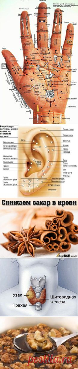 Одноклассники