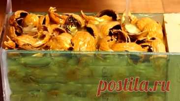 Мы ели грецкие орехи и решили закинуть их скорлупу в эпоксидную смолу и крутануть на станке! | Мастерская Бруно | Дзен