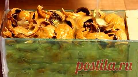 Мы ели грецкие орехи и решили закинуть их скорлупу в эпоксидную смолу и крутануть на станке! | Мастерская Бруно | Дзен