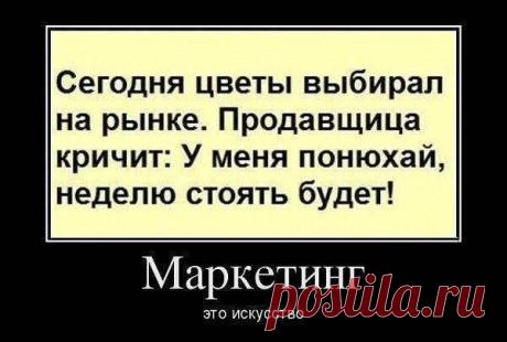 «Ё~МσЁ !»
к к