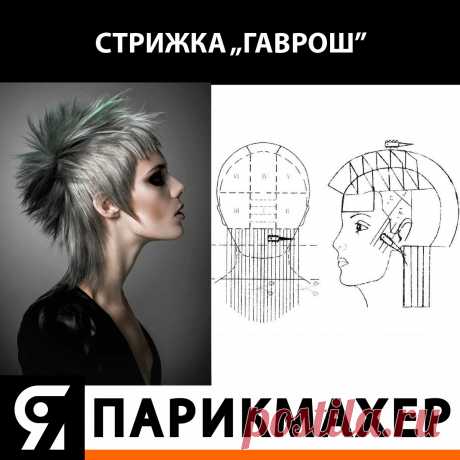 Схема стрижки Гаврош