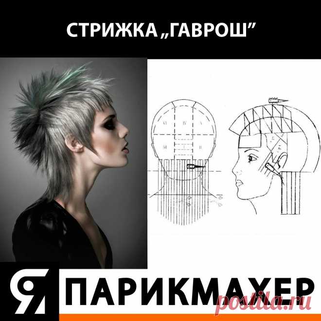 Схема стрижки Гаврош