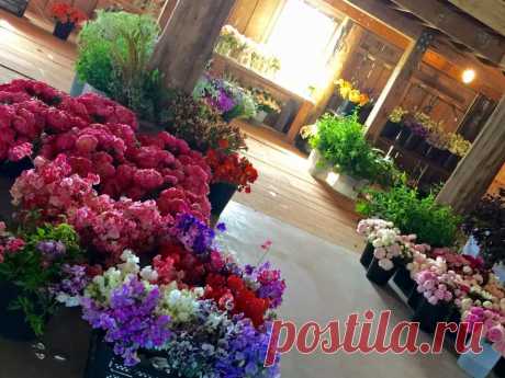 (33) Юкико Miyai