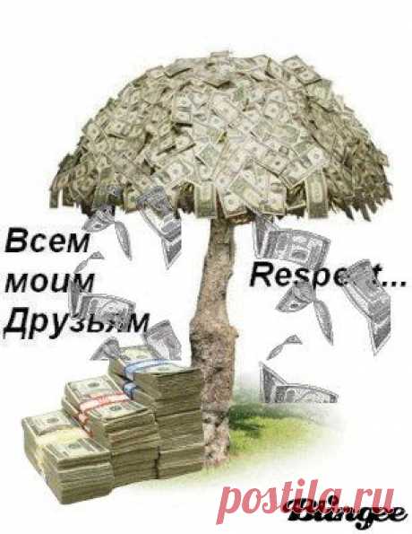 (3) Одноклассники
