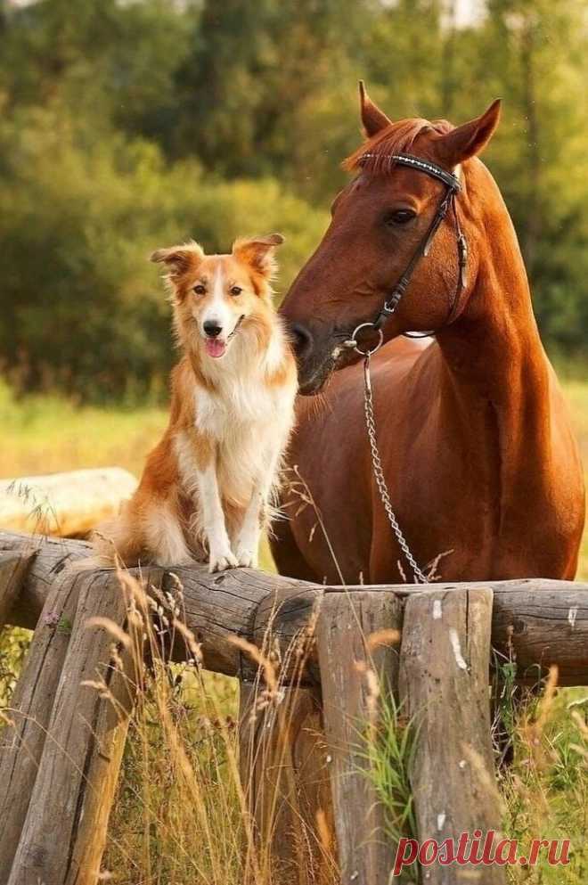 ღ